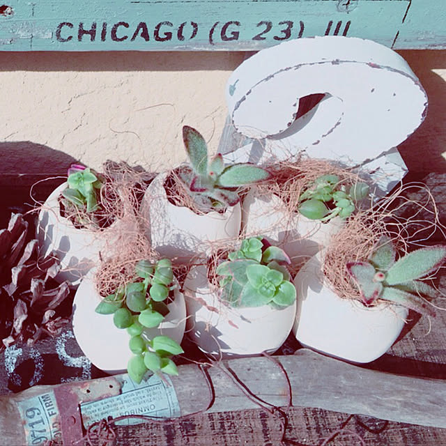 ベッド周り/ガーデンプレート/流木ディスプレイ/たまごの容器/寄せ植え...などのインテリア実例 - 2018-06-10 10:42:34