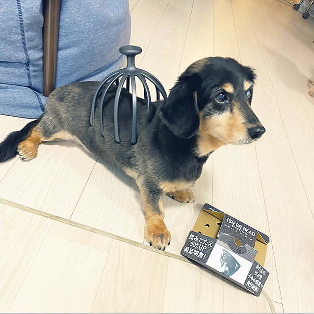 ohanaさんの実例写真