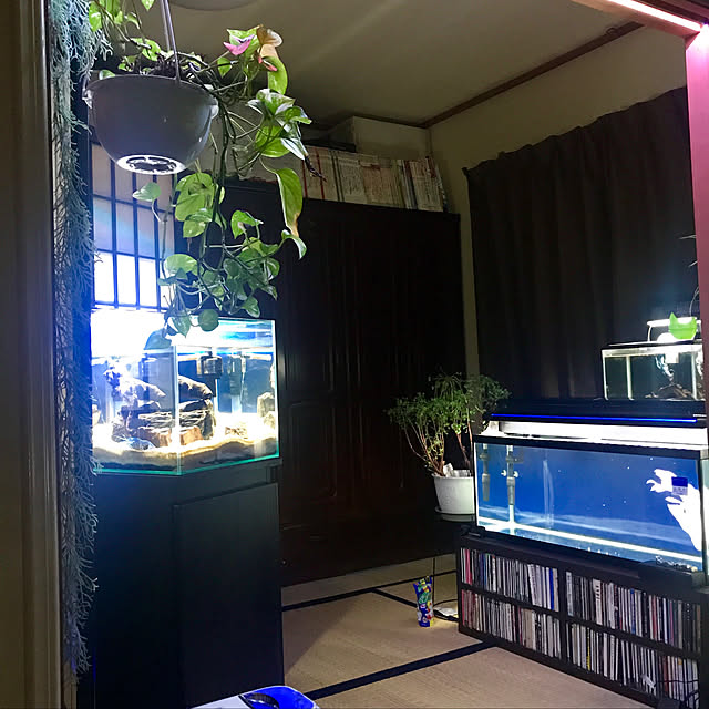 Takashiさんの実例写真