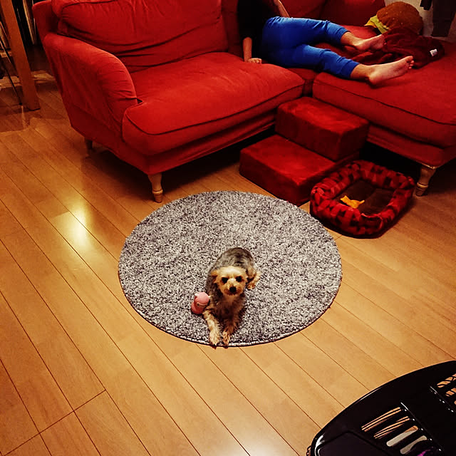 321さんの実例写真