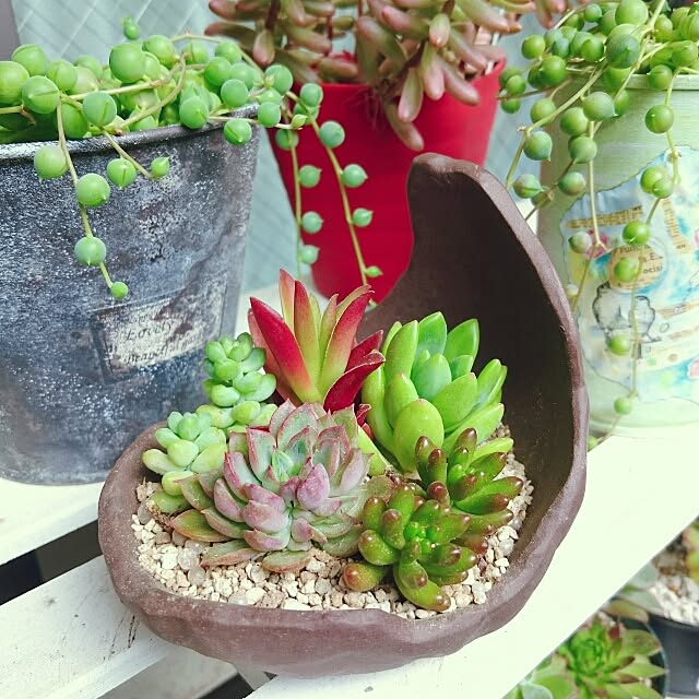 acoさんの実例写真