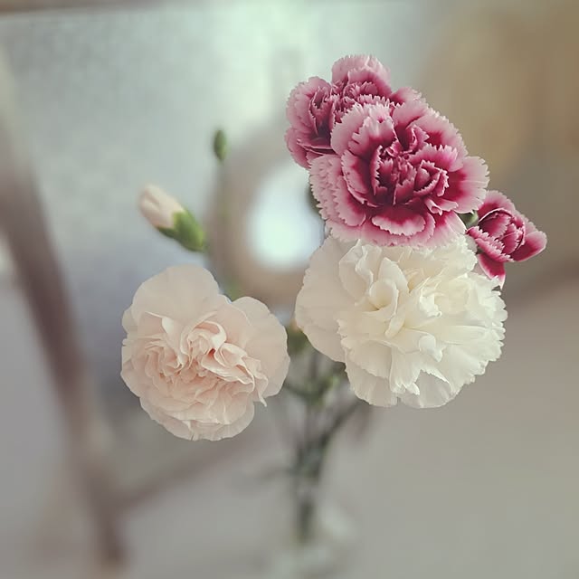 sakura_3さんの部屋