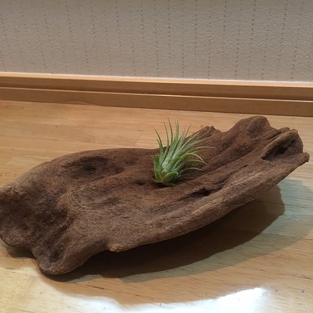 RYUBOKKURIさんの実例写真