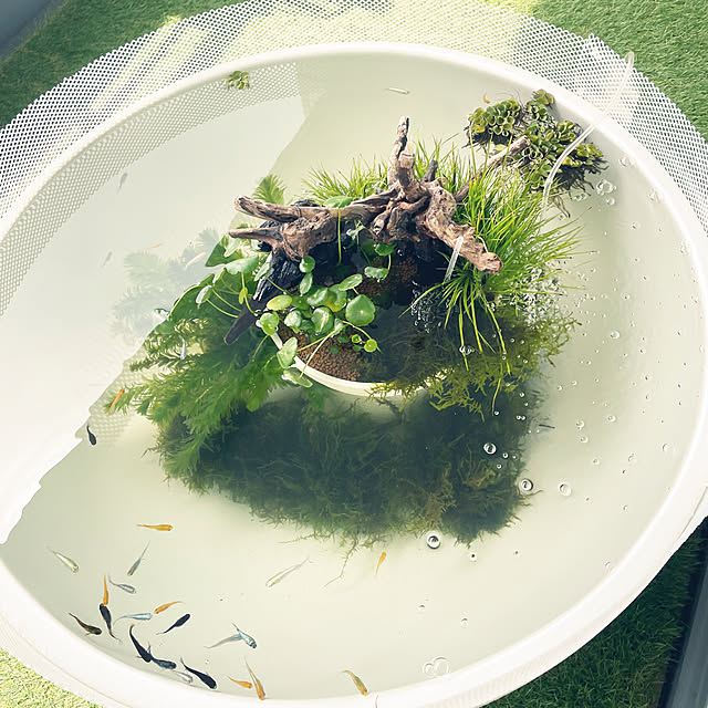 nanakoさんの部屋