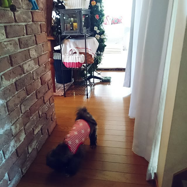 asaさんの実例写真