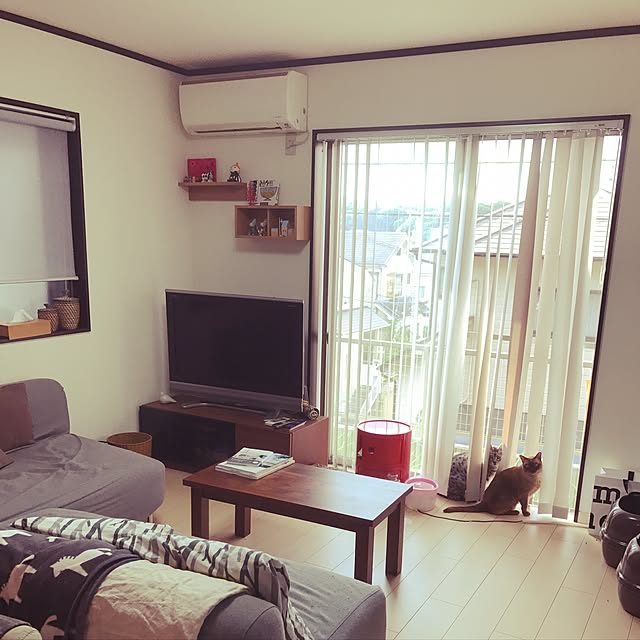 shienaさんの実例写真