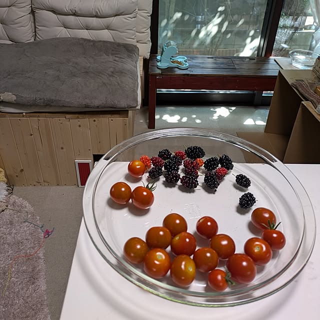 mori_6_12さんの実例写真