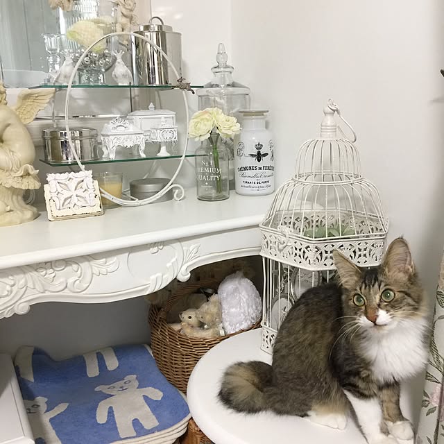 yuchiさんの実例写真