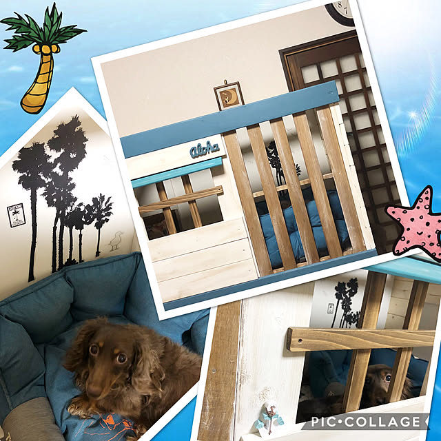 Alohaさんの実例写真