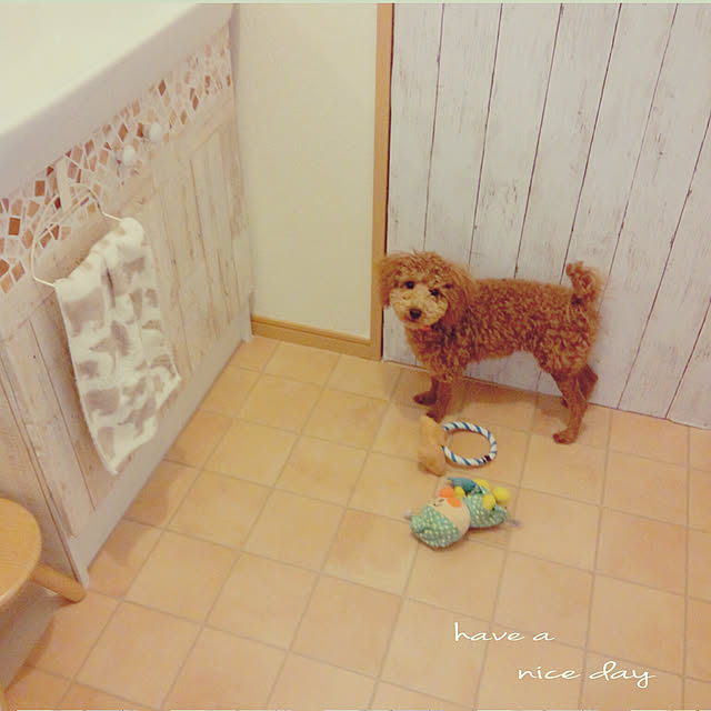 rihokaさんの実例写真