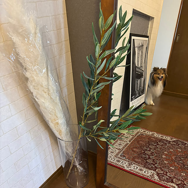 pandaさんの部屋