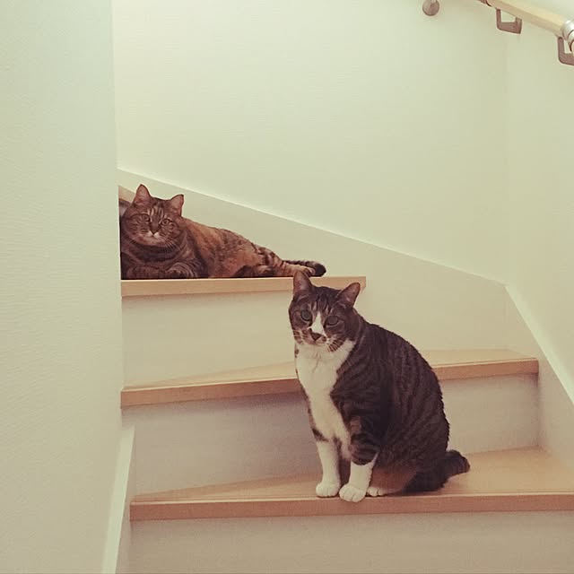 kuu511さんの実例写真