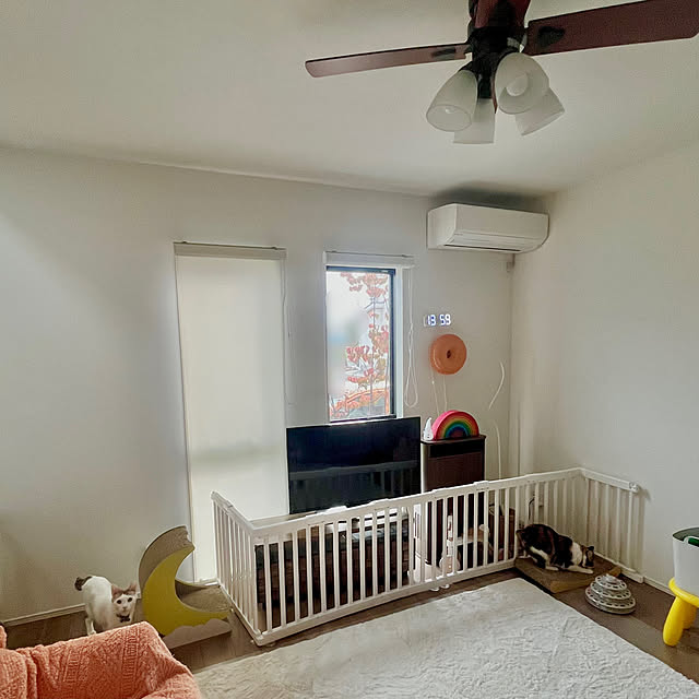 Misakiさんの実例写真