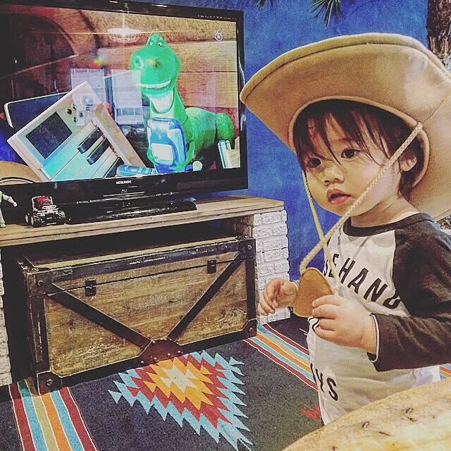 panaさんの実例写真