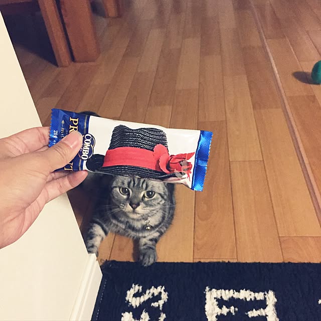 hiyupan88さんの実例写真