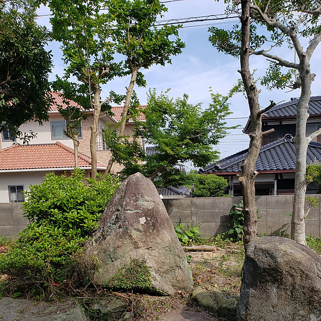 kumiさんの実例写真