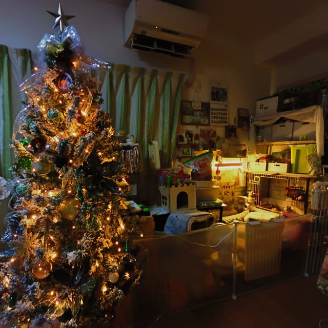 mariaさんの実例写真