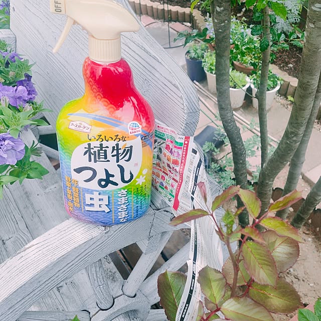 ryomomさんの実例写真