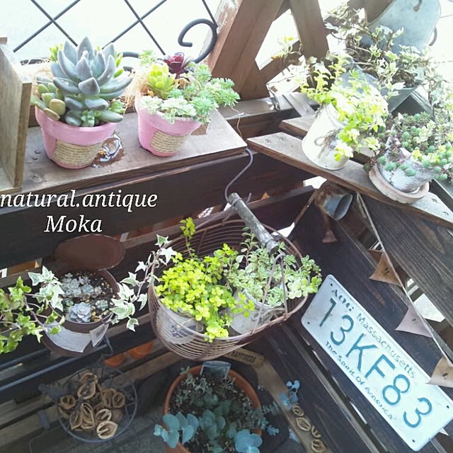 Mokaさんの実例写真