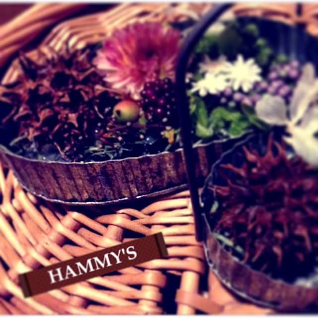 hammysさんの実例写真