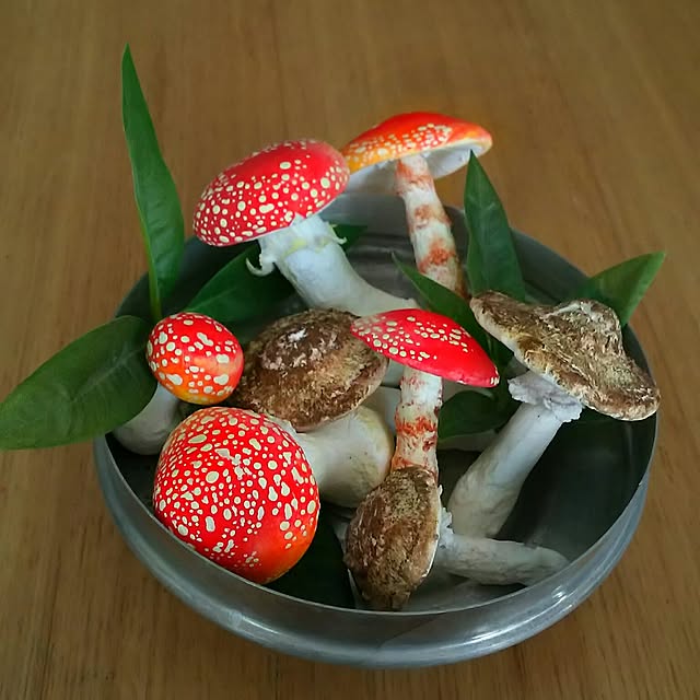 mogu0418さんの実例写真