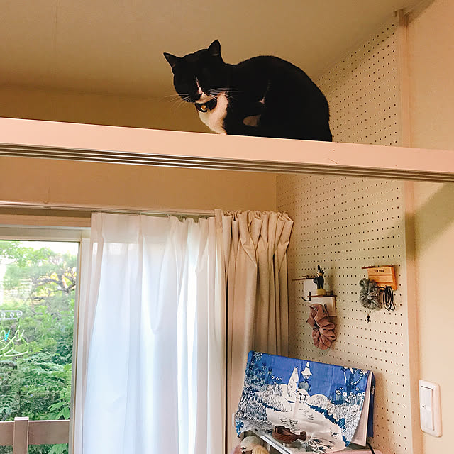 harukaさんの実例写真
