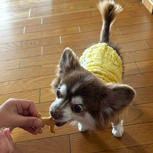 chIoeさんの部屋