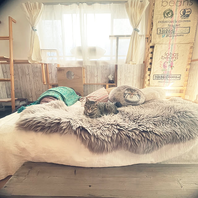 Mさんの実例写真