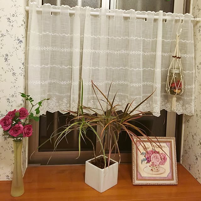 dahliaさんの実例写真