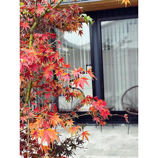 marocoさんの実例写真