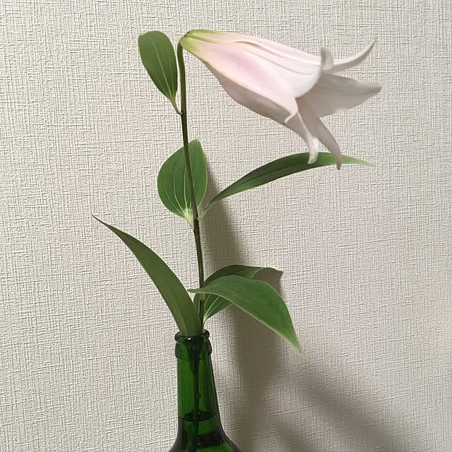 Ryokoさんの実例写真