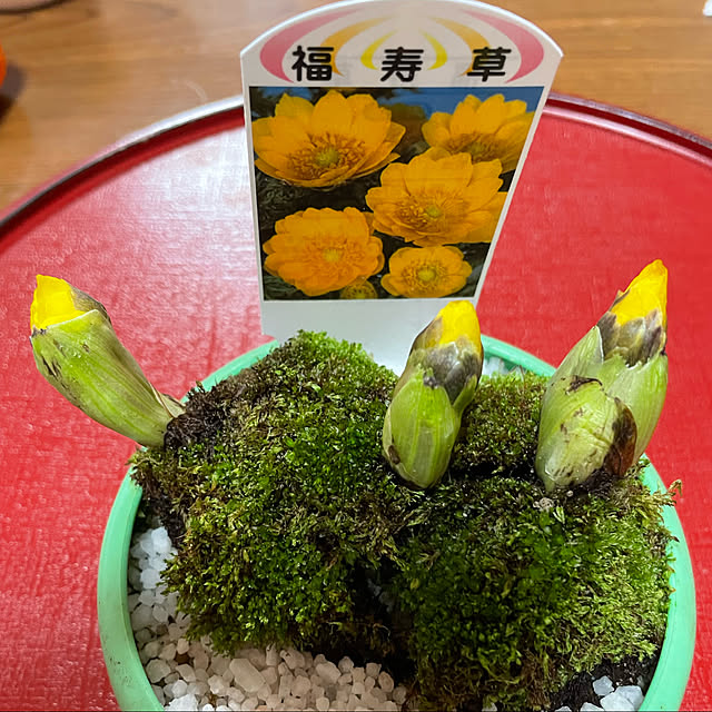 kakoさんの実例写真