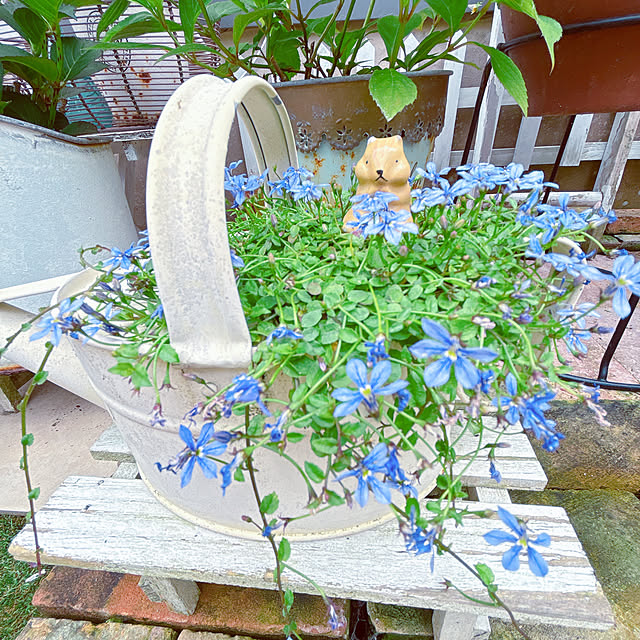 moolさんの部屋