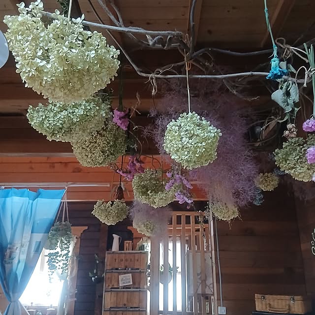 murasaki808さんの実例写真