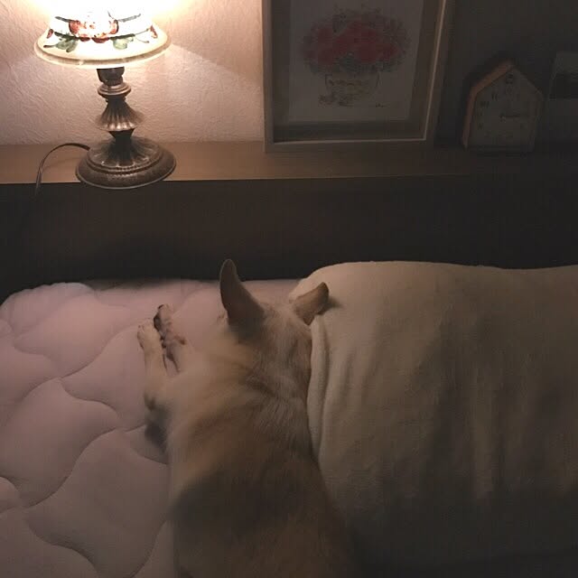 rosemaryさんの実例写真