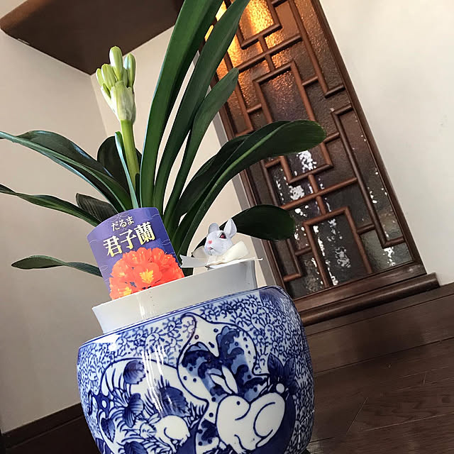 Nagakoさんの実例写真