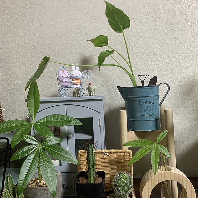 JUNさんの実例写真
