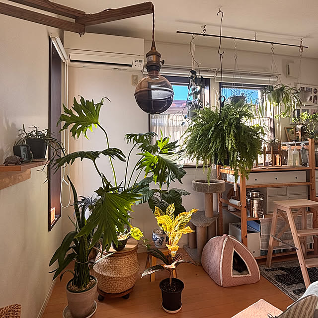 greycatsさんの部屋