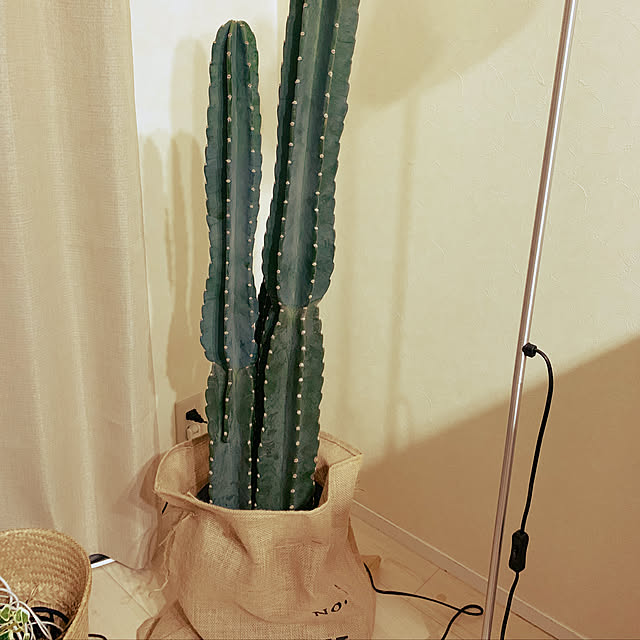 tetuさんの実例写真
