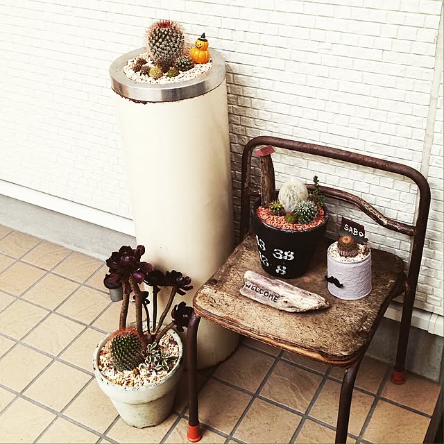 実例写真