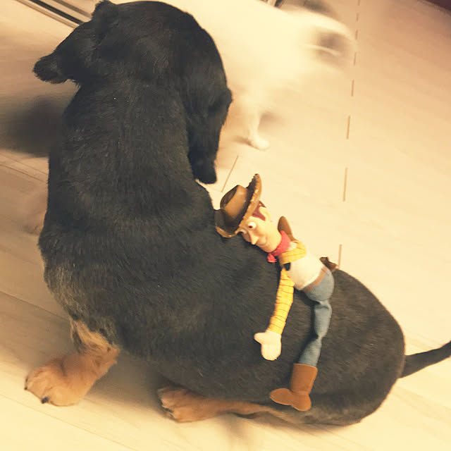 ohanaさんの実例写真