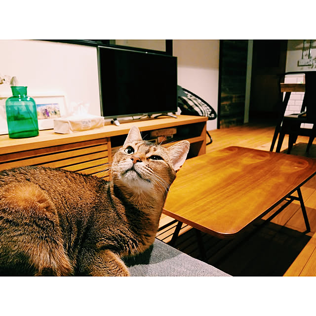 amigumiさんの実例写真