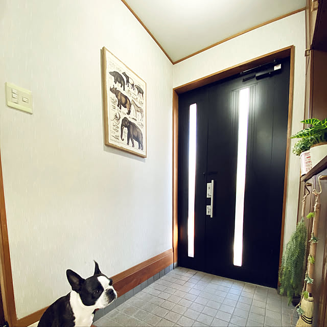kurumeruさんの実例写真