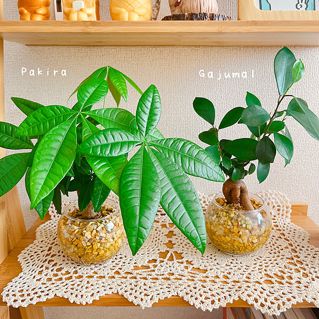 pankumaさんの実例写真