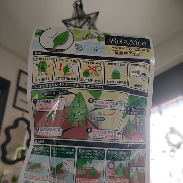 napiさんの部屋