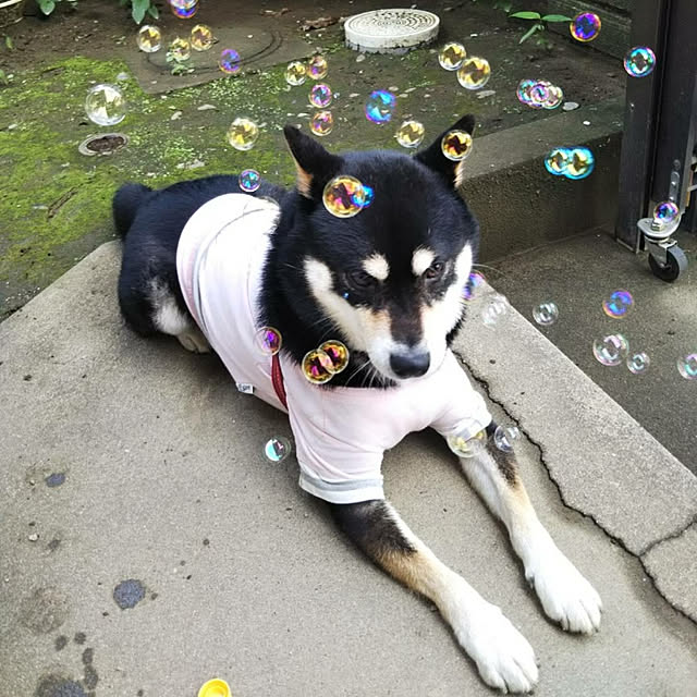 masamasaさんの実例写真
