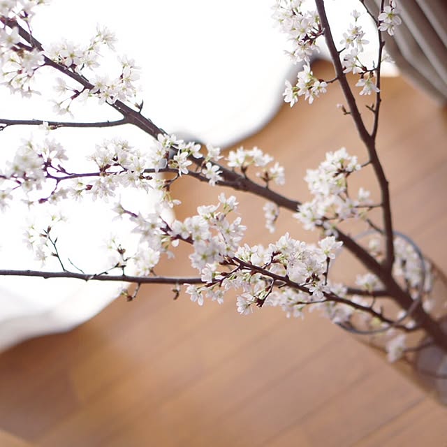 n.akk.wさんの実例写真
