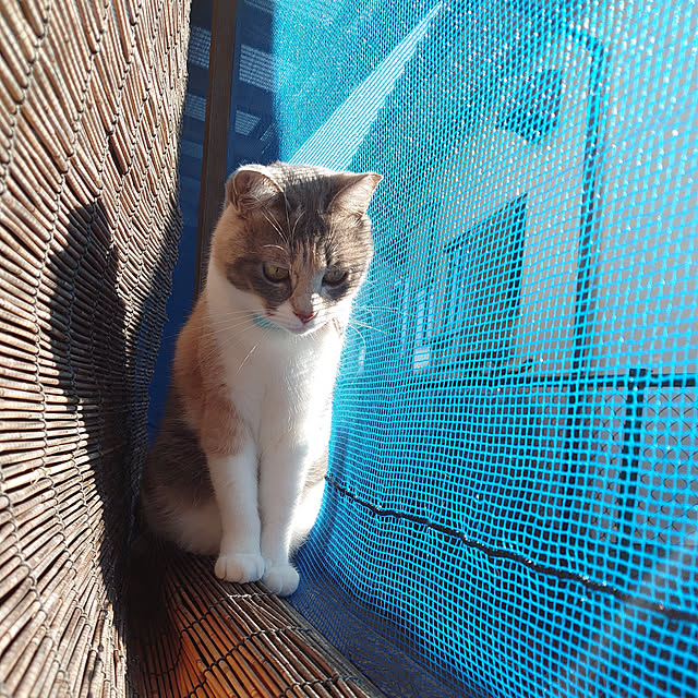 fukuさんの実例写真
