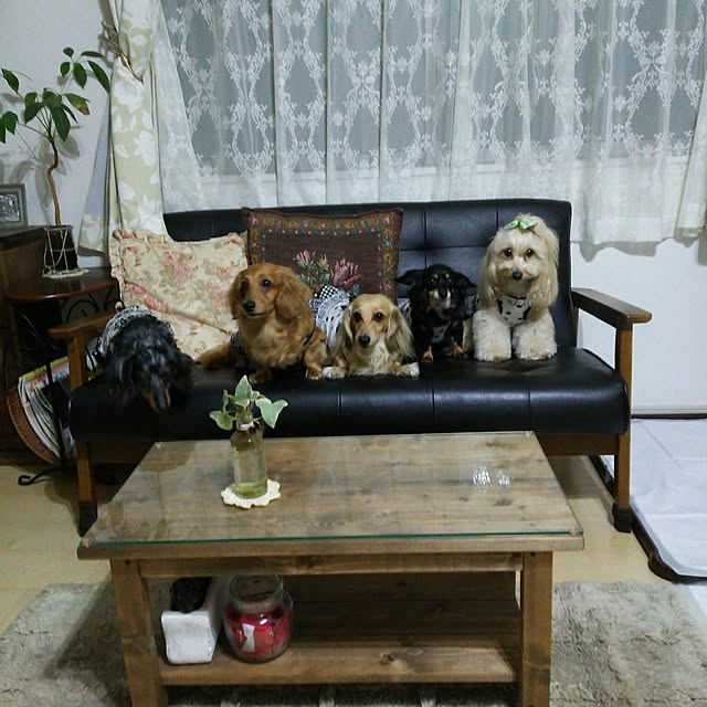 himeyuzurincocokiraさんの実例写真
