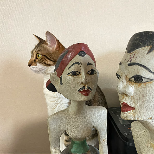 rioさんの実例写真